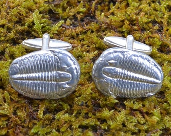 Trilobite Cufflinks, Trilobite Fossil Cufflinks, Handmade,Pewter,  By William Sturt