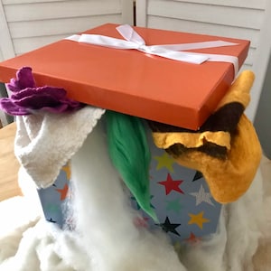 Christmas Mystery Box  Surprise Mystery Box  Christmas Mystery Gifts  Santa Mystery Gift