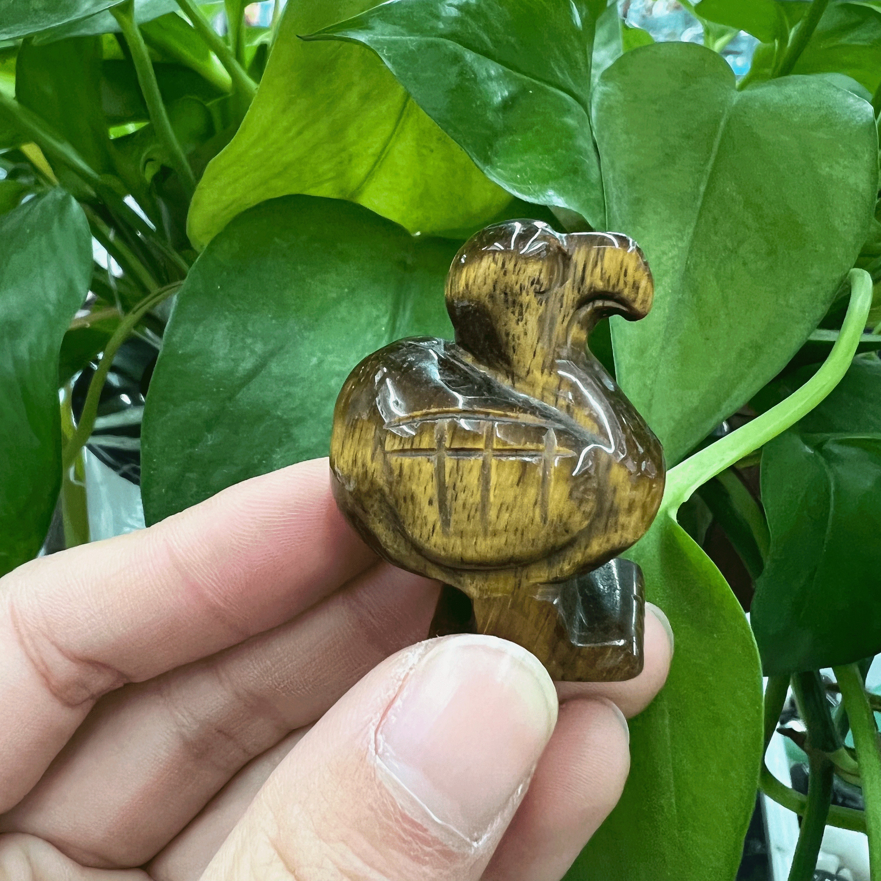 1.5