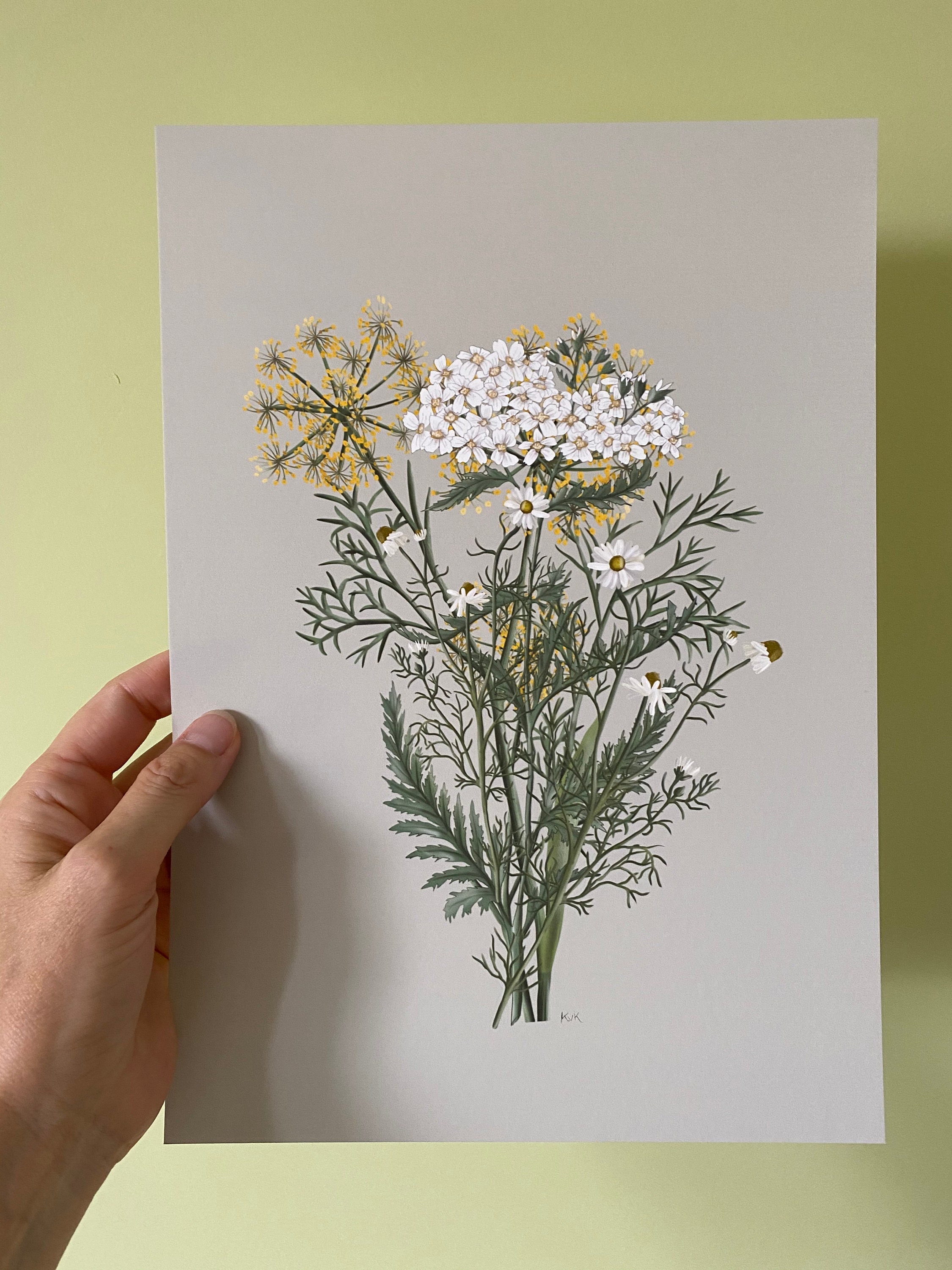 Art print fennel chamomile yarrow Etsy