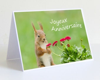 Photo Ecureuil Etsy Photo Ecureuil Etsy