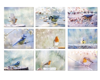 9 small romantic bird photos for zen and soft decor, 10 x 15 cm, pastel bird photos, zen and nature wall decor,