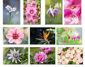 10 flower and nature postcards, photos of flowers, garden, spring, set of flower postcards, postcard promotion,