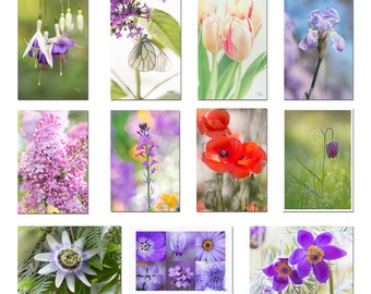 Set 11 flowers postcards,  flower photos, 16 flowers cards, botanical cards, postcrossing,