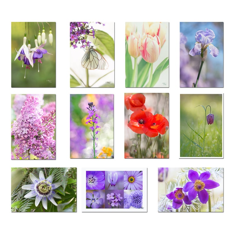 Lot de 11 cartes postales fleurs, fleurs des jardins et des prés, cartes postales fleurs, cadeau jardinier, flower poscard, postcrossing, image 1