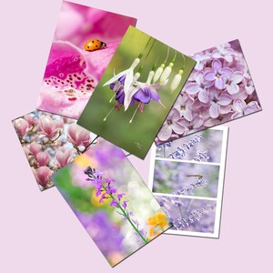 Promotion 6 cartes postales fleurs  en promotion, set cartes postales en promotion, carte de voeux fleur, postcrossing,