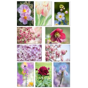 10 flower postcards on sale, set of postcards, flower photos, botanical postcards, gardener gift, organic,