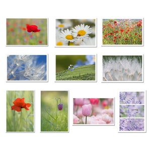 Promotion set of 10 organic postcards photos of flowers and nature, in recycled cardboard, set of postcards, postcrossing,