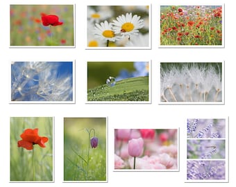 Promoción set de 10 postales orgánicas fotos de flores y naturaleza, en cartón reciclado, set de postales, postcrossing,
