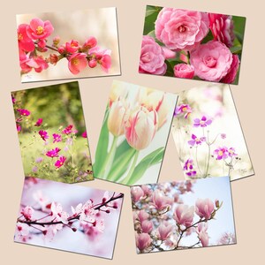 7 postales de flores de parque y jardín, tulipán, membrillo, prunus, cosmos, anémona, camelia, magnolia,