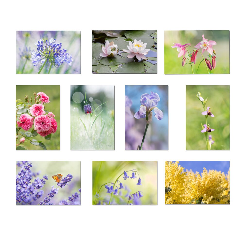 10 Flowers Post Cards Set 10 Organics Printed Cards Nature Etsy 10 Flowers Post Cards Set 10 Organics Printed Cards Nature Etsy