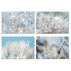 Set 4 carte natura zen, cartolina di fiori, set di cartoline, cartolina di tarassaco, carte botaniche,