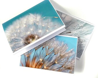 3 greeting cards dandelion seeds, postcards flowers, turquoise greeting cards, botanical photos, gardener gift,