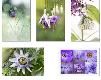 5 Postcards flowers from parks and gardens, botanical card, lot of garden photo cards, gift for gardener, passionflower, butterfly