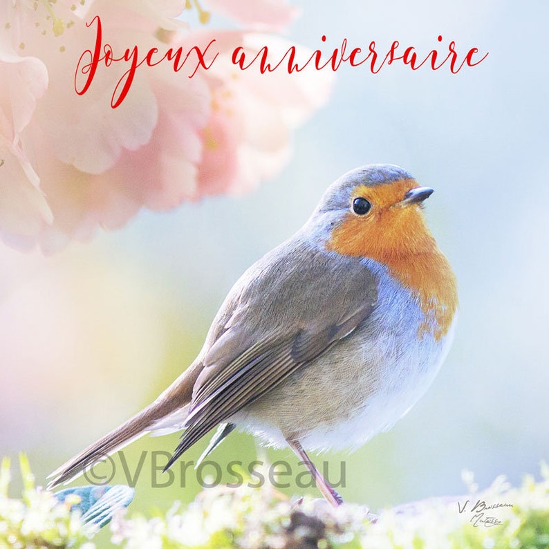 Happy Birthday Bird Card Robin Bird Birthday Card Bird Etsy Happy Birthday Bird Card Robin Bird Birthday Card Bird Etsy