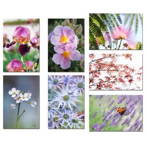 Set mit 7 Blumen- und Pflanzenpostkarten, Postkartenset, Blumengrußkarte, Postcrossing. Bild 2
