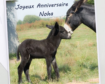 Photo birthday card of a little donkey and his personalized mom, first name and age birthday card, happy birthday, birthday card,