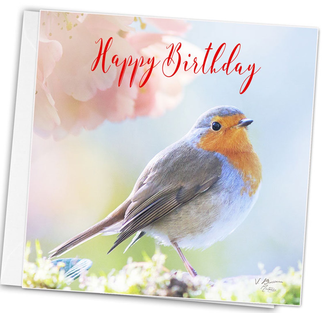 Happy Birthday Bird Card Robin Hood Wedding Card Bird Photo | Etsy