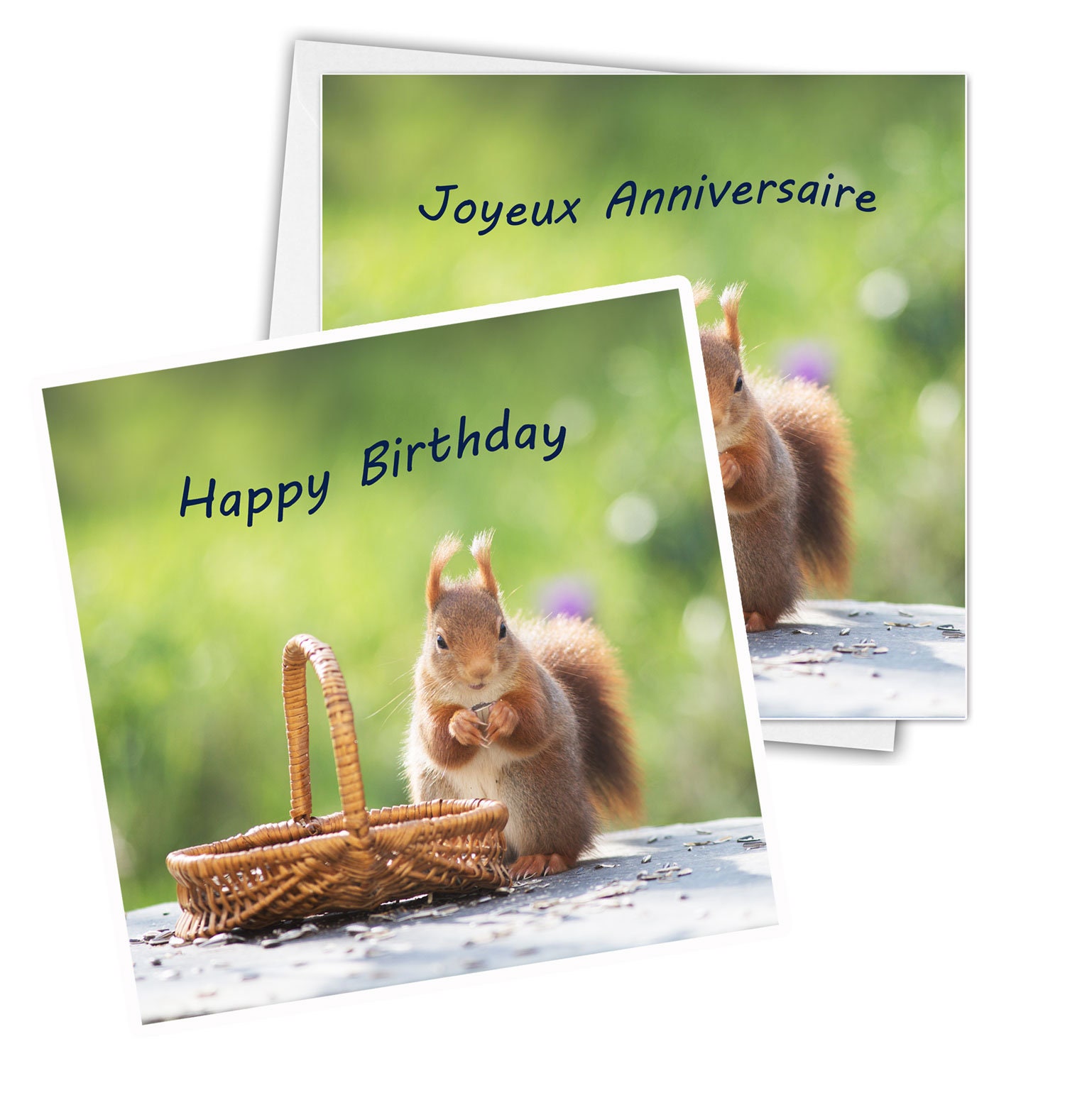 A Customizable Red Squirrel Photo Birthday Card Happy Etsy