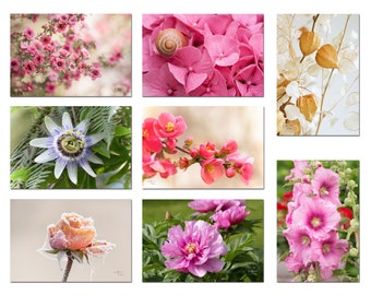 Cartes postales photos de fleurs à choisir, carte postale photo de fleur,