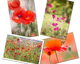 Ensemble de 4 cartes postales fleurs du Jardin et de la campagne, zen, coquelicots, cartes postales fleur biologiques, cadeau, postcrossing,