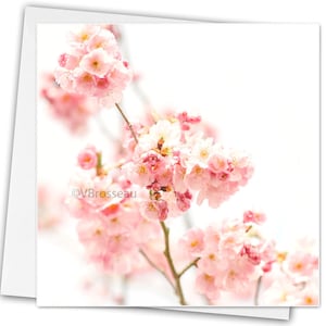 Carte de Voeux Fleur de Cerisier Japonais, Japanese Cherry Tree Greeting Card, Flower Postcard, carte personnalisable, anniversaire,