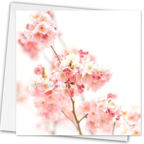 Carte de Voeux Fleur de Cerisier Japonais, Japanese Cherry Tree Greeting Card, Flower Postcard, carte personnalisable, anniversaire,