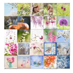 Lot de 25 cartes postales biologiques photos fleurs, animaux, nature, lot de cartes postales en promotion, postcrossing, carte format carré,