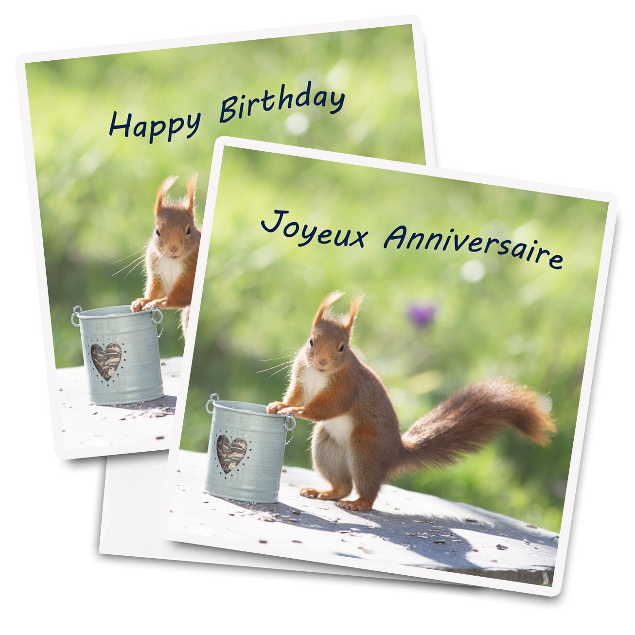Une Jolie Carte Anniversaire Photo Ecureuil Et Coeur Etsy