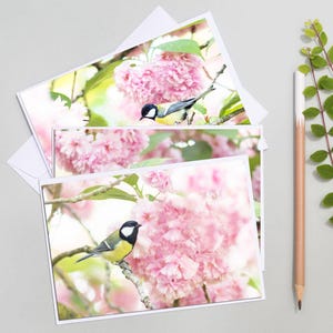 Ensemble de 3 cartes photos oiseau mésange dans les fleurs de cerisier du Japon, cartes de voeux cerisier du Japon, carte postale fleur,