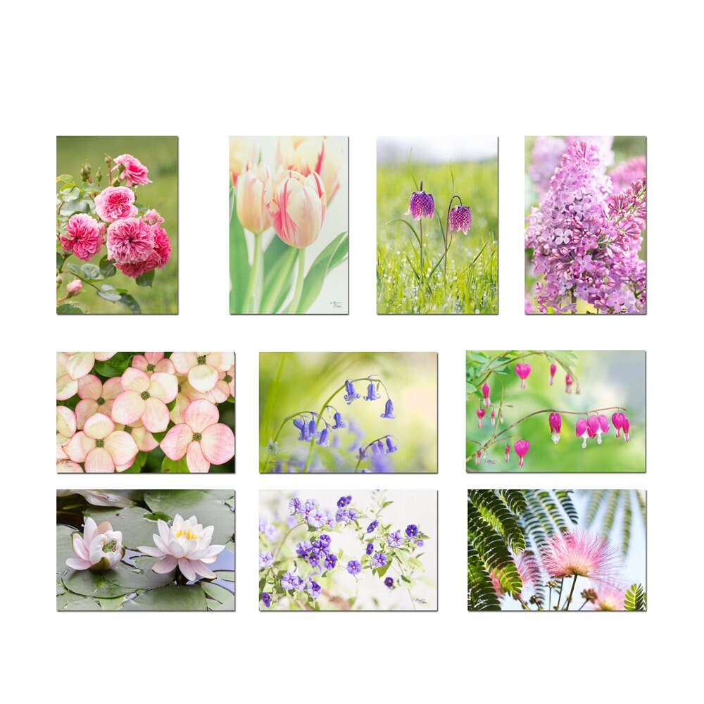 Set 10 Flower Nature Ecological Postcards All Colors Lot Of Etsy Set 10 Flower Nature Ecological Postcards All Colors Lot Of Etsy
