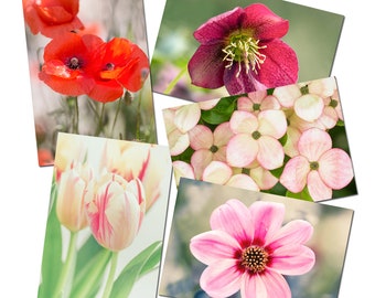 5 Cartes  postales fleurs , lot de cartes postales fleurs, printemps, ensemble cartes postales, photo fleur, cadeau fleur,