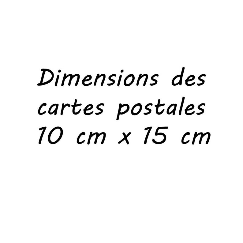 Ensemble 5 cartes postales fleurs de jardin rose et violet, lot de cartes postales fleur, photo fleur, cartes botaniques, jardinier, fleurs, image 7