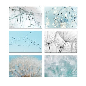 Ensemble de 6 photographies pissenlit, gouttes bleu turquoise et gris, 10x 15 cm , photographie nature macro, decor zen, image 1