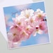 see more listings in the Festa di compleanno section