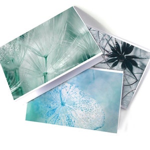 3 cartes photo de nature zen détail pissenlit et graines, cartes postales zen, cartes de voeux nature, macro photo, carte anniversaire,