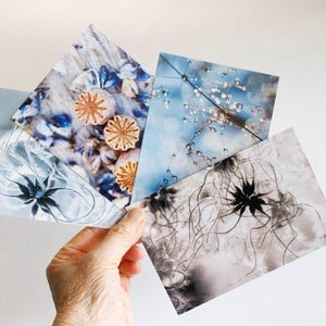 Ensemble de 4 cartes postales botaniques  de graines de fleurs, cadeau jardinier, cartes postales biologique, photos de nature,