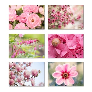 6 Cartes postales feurs roses des parcs et jardins, carterie botanique, lot de cartes photos jardin, cadeau pour jardinier,