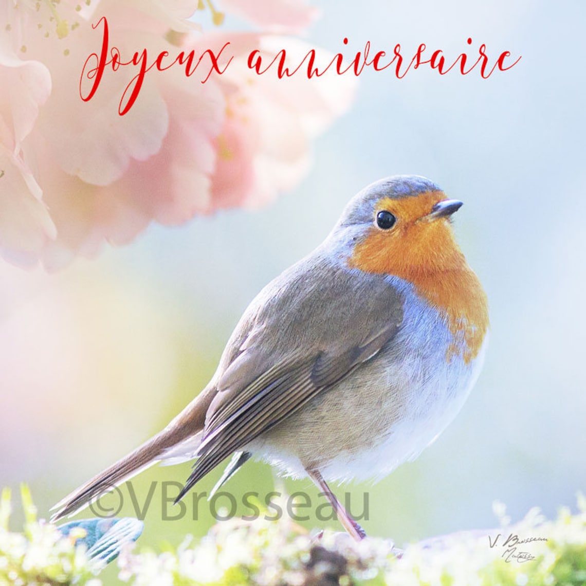 Images De Carte Anniversaire Oiseau - Téléchargement Gratuit Sur Eepik