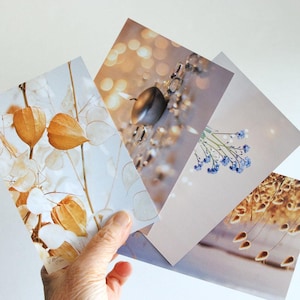 4 cartes postales lumiere zen,  calme, bougie, fleur de myosotis, physalis, lot de cartes postales douces, light postcards, postcrossing,