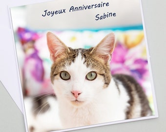 Personalized cat birthday card, first name, cute cat photo, cat birthday gift, kitten, pretty cat card, birthday card,