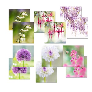 Promotion lot 12 postcards flowers, promotion postcards, photos of flowers, lot of postcards, postcrossing,