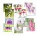 see more listings in the On sale section