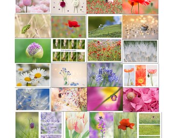 Lot of 26 postcards on promotion, photos of flowers, animals, nature, lot of postcards on promotion, postcrossing, 10 x 15 cm,