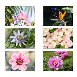 Lot de 6 Cartes postales photos de Fleurs, printemps, jardinier,  jardin, fleurs de jardin, carte postale fleur, carte postale botanique,