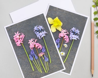 2 Cartes Fleurs de Printemps, cartes postales fleur, photos de fleurs, jonquille, myosotis, jacinthe, carte anniversaire, fleurs sechees,