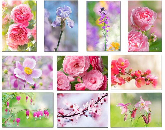 Ensemble Dix Cartes Postales Fleur Cartes Fleurs Photo Fleur Cartes écologiques Biologiques Carte Anniversaire Photo Nature