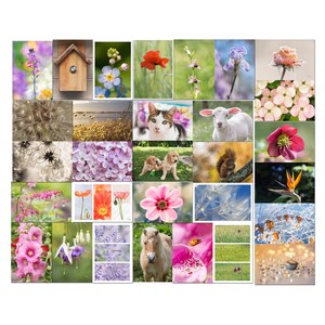 Lot de 30 cartes postales biologiques photos fleurs, animaux et nature, lot de cartes postales en promotion, postcrossing, 10 x 15 cm,