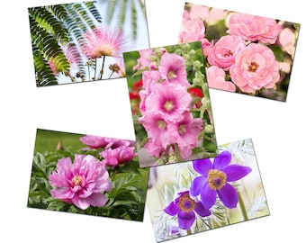 5 flower postcards, nature photo postcards, flower photo, flower photo postcard, set of postcards,