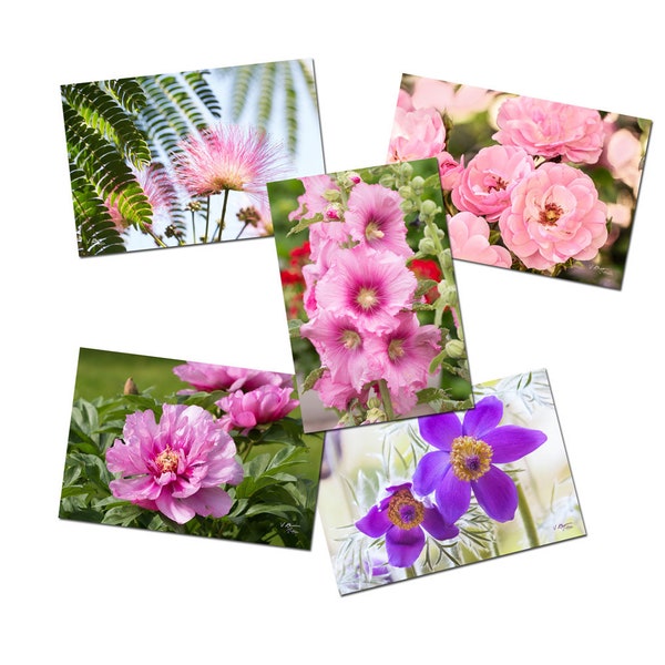 5 cartes postales fleur, cartes postale photo nature, photo fleurs, carte postale photo fleur, lot de carte postale,